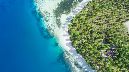 Aerial view of tropical sand beach with palm trees and blue ocean. Summer Background.