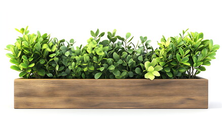 Obraz premium Wooden planter box with green plants, Generative AI