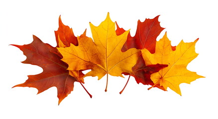 Fototapeta premium A pile of autumn maple leaves, Generative AI