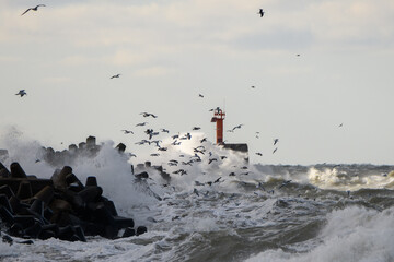 Stormy Baltic sea at Liepaja port North mole, Latvia. © Janis Smits