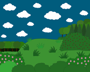 hill with green grass and forest