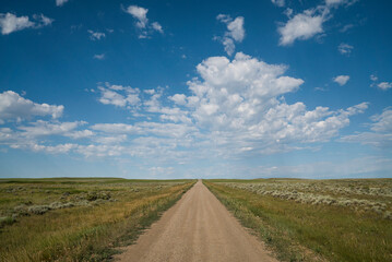 A dirt road leads straight into the distant horizon of a vast prairie.