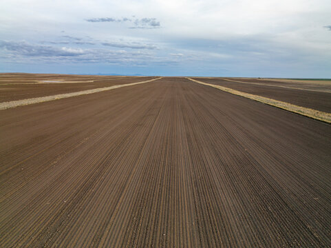 Aerial view of a massive row crop field.