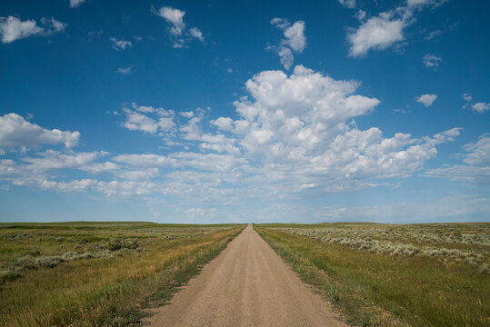 A dirt road leads straight into the distant horizon of a vast prairie.