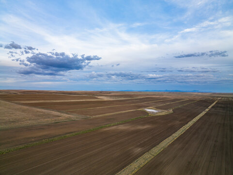 Aerial view of a massive row crop field.