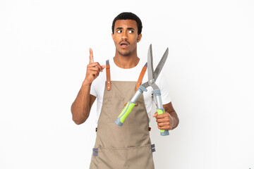 African American gardener man holding pruning shears over isolated white background thinking an idea pointing the finger up