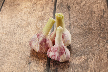 Young garlic heap for cooking