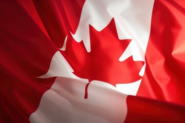 Flag of canada patriotism person shape.