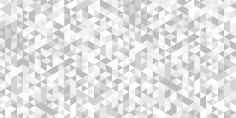 Geometric Abstract white or gray digital stripe creativity background. seamless triangular origami grayscale mosaic and low polygon triangle texture banner wallpaper.	
