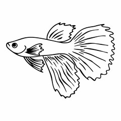 Line Art Vector Illustration of a Guppy