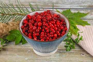 Natural organic wild forwst lingonberry