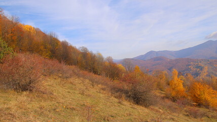 Obraz premium autumn in the mountains