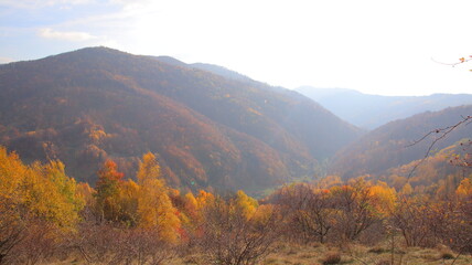 autumn in the mountains