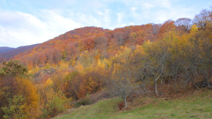 Obraz premium autumn in the mountains