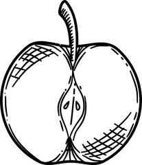 Vintage apple engraving style hand drawn vector illustration
