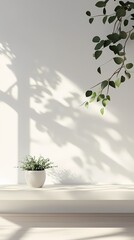 Indoor natural style living room shelf and plant poster background