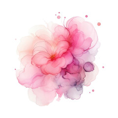 beautiful color explosion