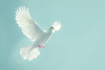 Obraz premium White dove flying with open wings symbolizing peace and hope. Copy space for text