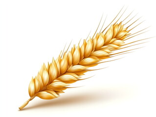 Wheat ear isolated on a white background