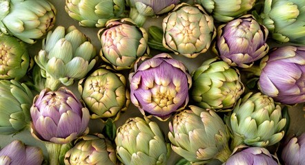 Fototapeta premium Vibrant Harvest: Colorful Organic Artichokes Arrangement in Rustic Mediterranean Setting
