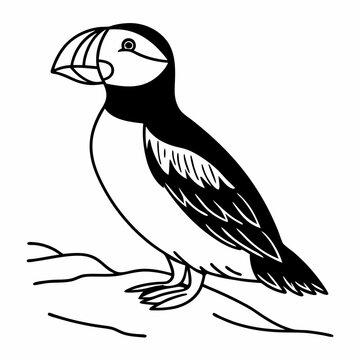 recommend clip art: Puffin Line Art Vector Design