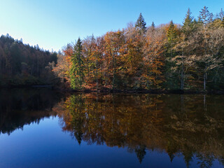 Forest in autumn colours reflected in a lake