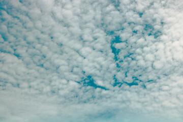 blue background