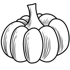 hand drawn vector illustration of an pumpkin