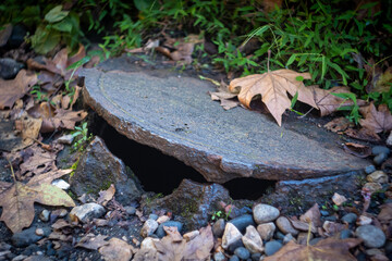 An old cast-iron manhole among fallen leaves
