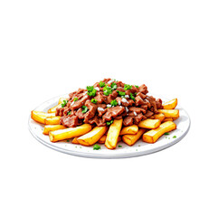 Carne Asada Fries, American food. On a transparent background, PNG file. PNG element. Suitable for artwork design.