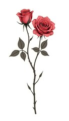 Fototapeta premium Elegant Red Rose Illustration