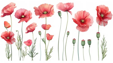 Fototapeta premium Beautiful Floral Set with Watercolor Hand-Drawn Summer