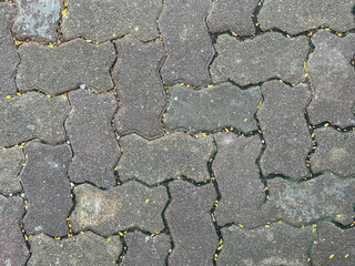 Grey worm brick Texture Background