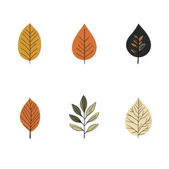 Minimalist style leaf vector without background.