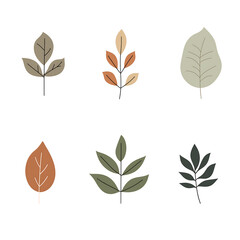 Minimalist style leaf vector without background