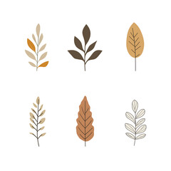 Minimalist style leaf vector  without background.