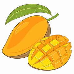 illustration of mango