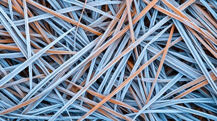 The image features frost-covered grass blades, showcasing intricate patterns of ice crystals against a backdrop of earthy tones.