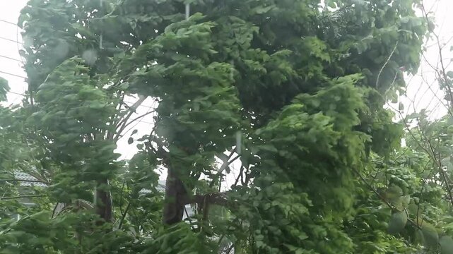storm with heavy rain and strong winds
