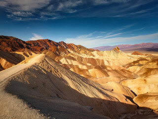 Fototapeta premium landscape in the desert