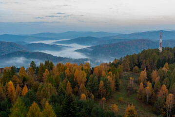 Jesienny widoki, Dolina Popradu, Małopolska, Poland