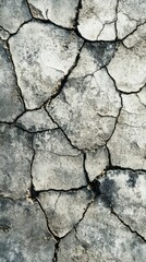 Obraz premium A close-up view of cracked, dry ground, highlighting drought or soil erosion.