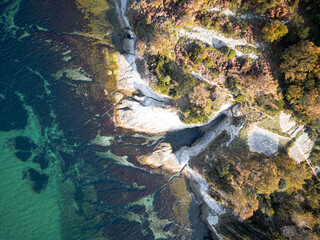 amazing view of coast with rocks and forest