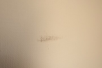 壁のクロスの黒ずみ汚れ