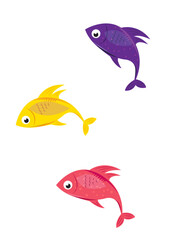 colored fishes isolated on white background vector