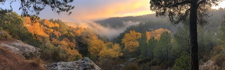 Fototapeta premium Stunning autumn forest with golden and orange trees on a mountain slope