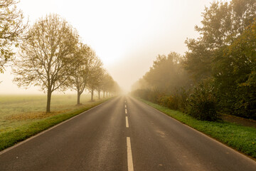 Nebel im November im Herbst bei Sonnenaufgang