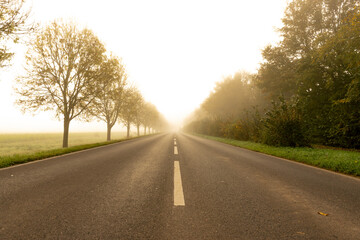 Fototapeta premium Nebel im November im Herbst bei Sonnenaufgang