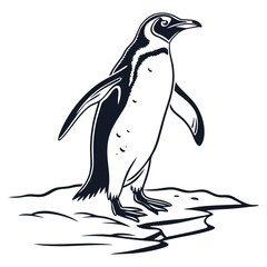 Penguin in the ice water