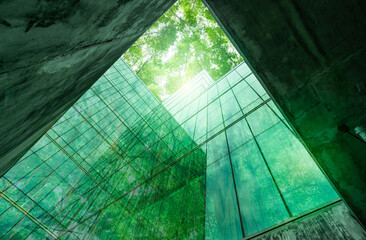 Eco-friendly building in the modern city. Sustainable glass office building with tree for reducing...